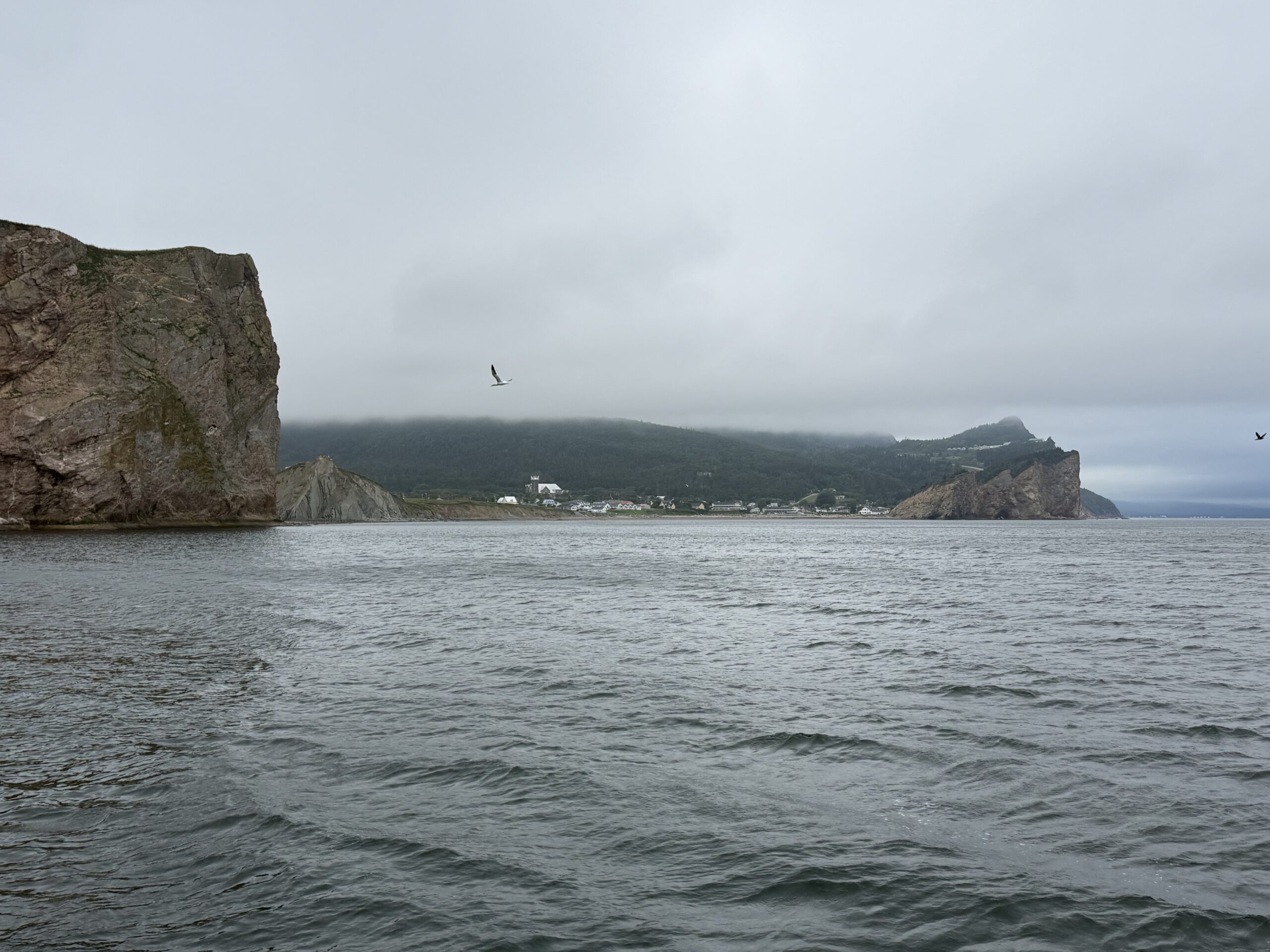 a bird flying over a body of water, Québec, Canada