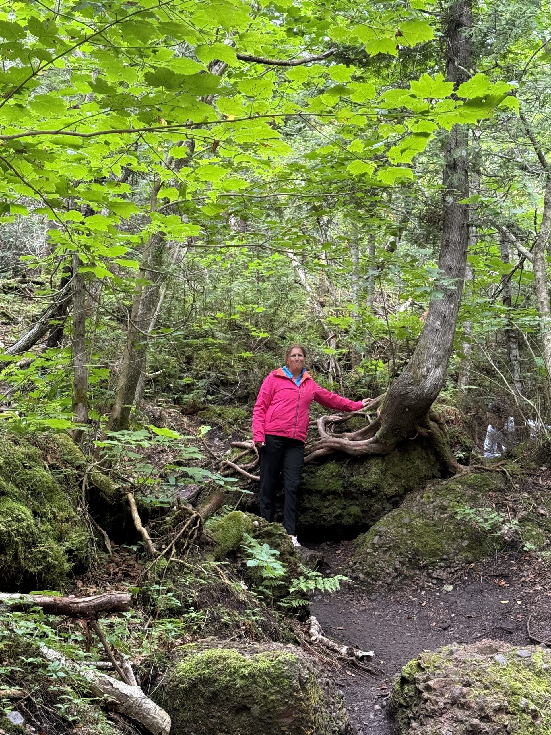 a woman in a red jacket is standing on a rock in the woods, Percé, Québec, Canada