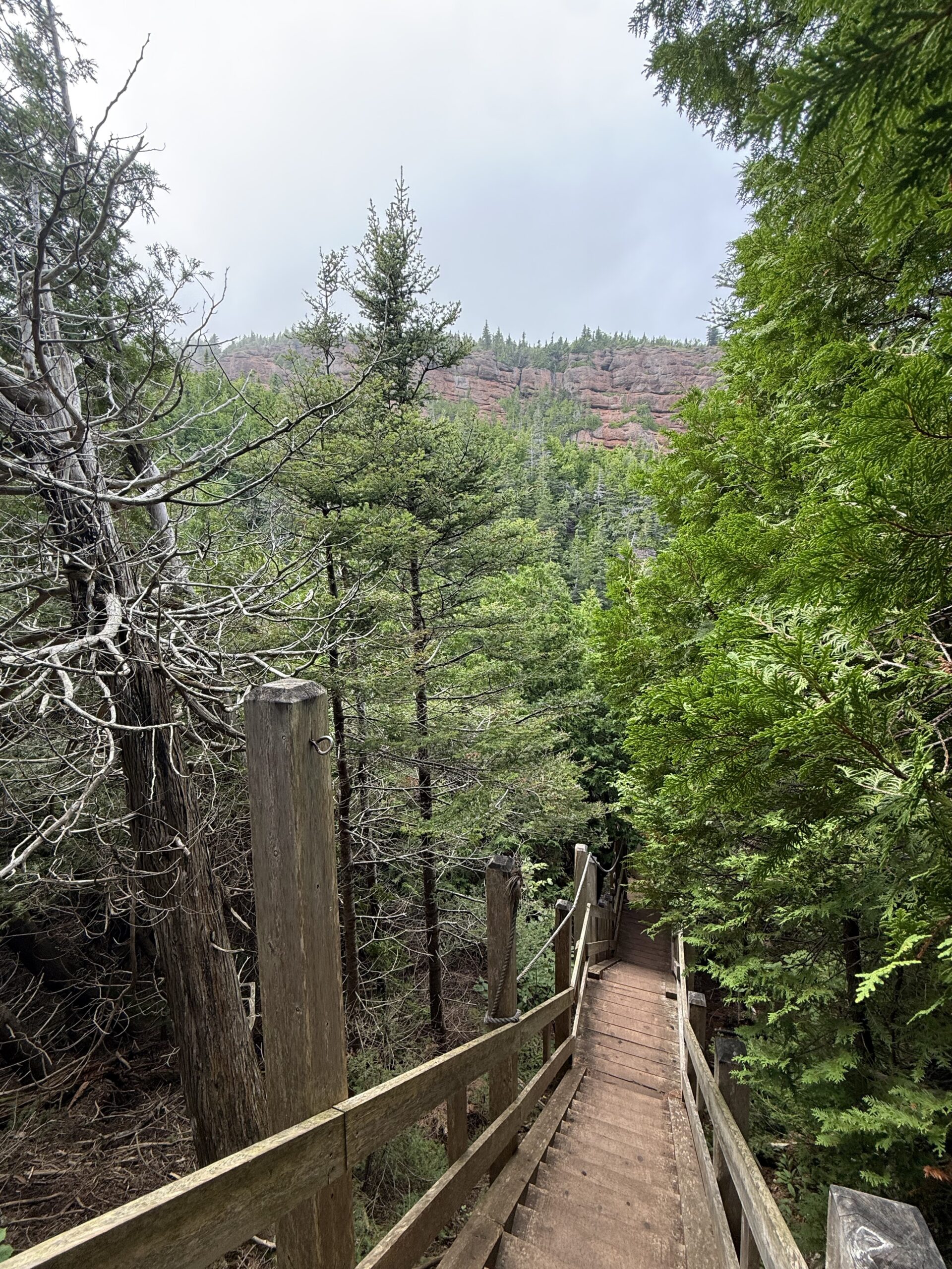 a wooden walkway leading to a forest, Percé, Québec, Canada
