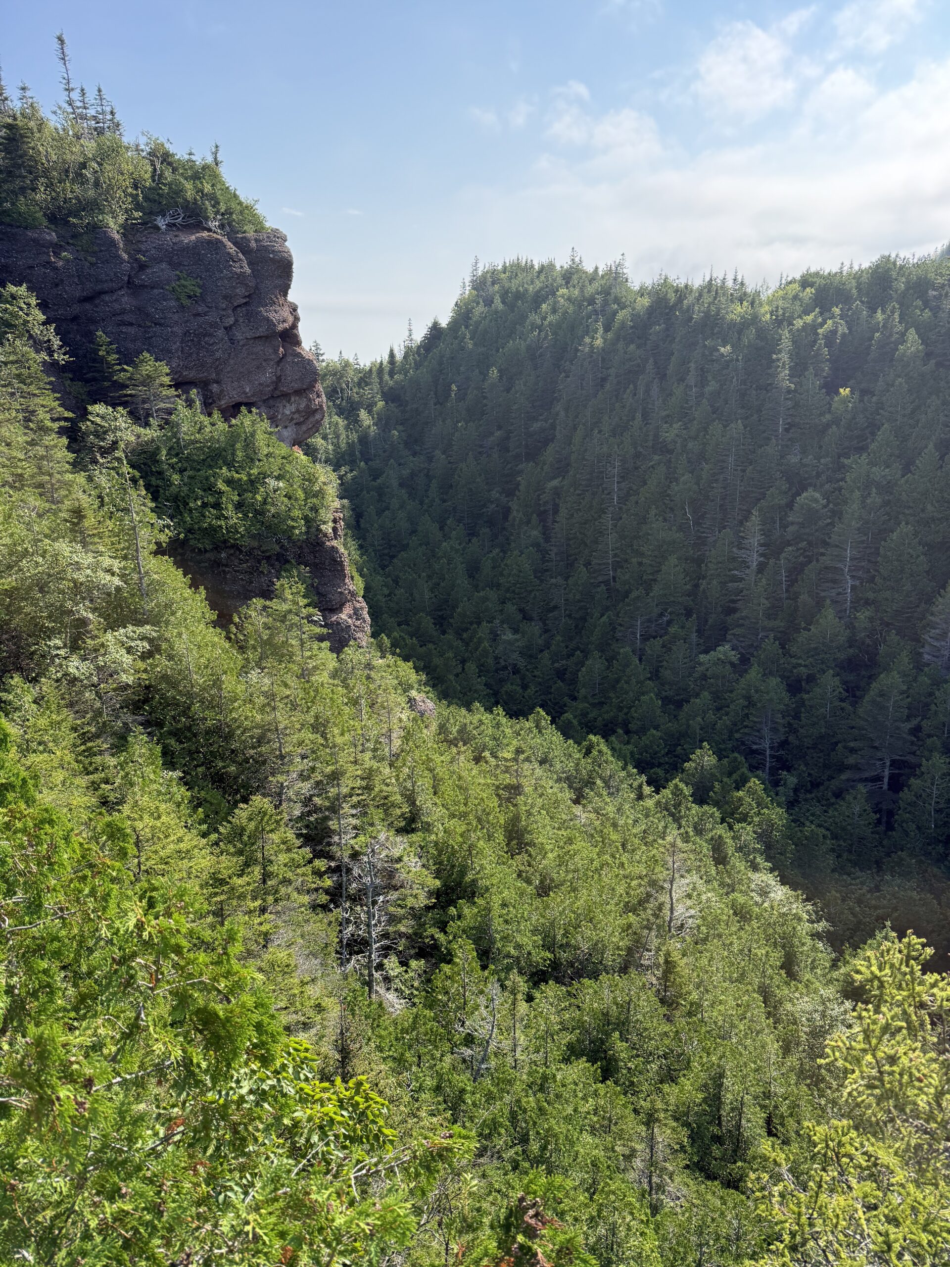 a view of the cliffs and trees from the trail, Percé, Québec, Canada