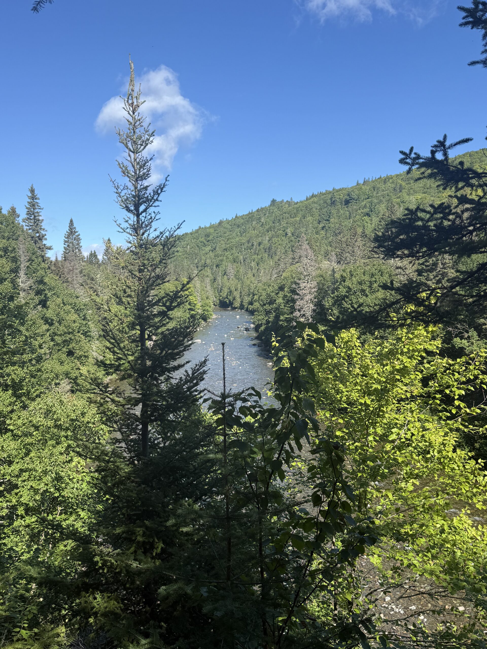a view of a lake through the trees, Port-Daniel, Québec, Canada
