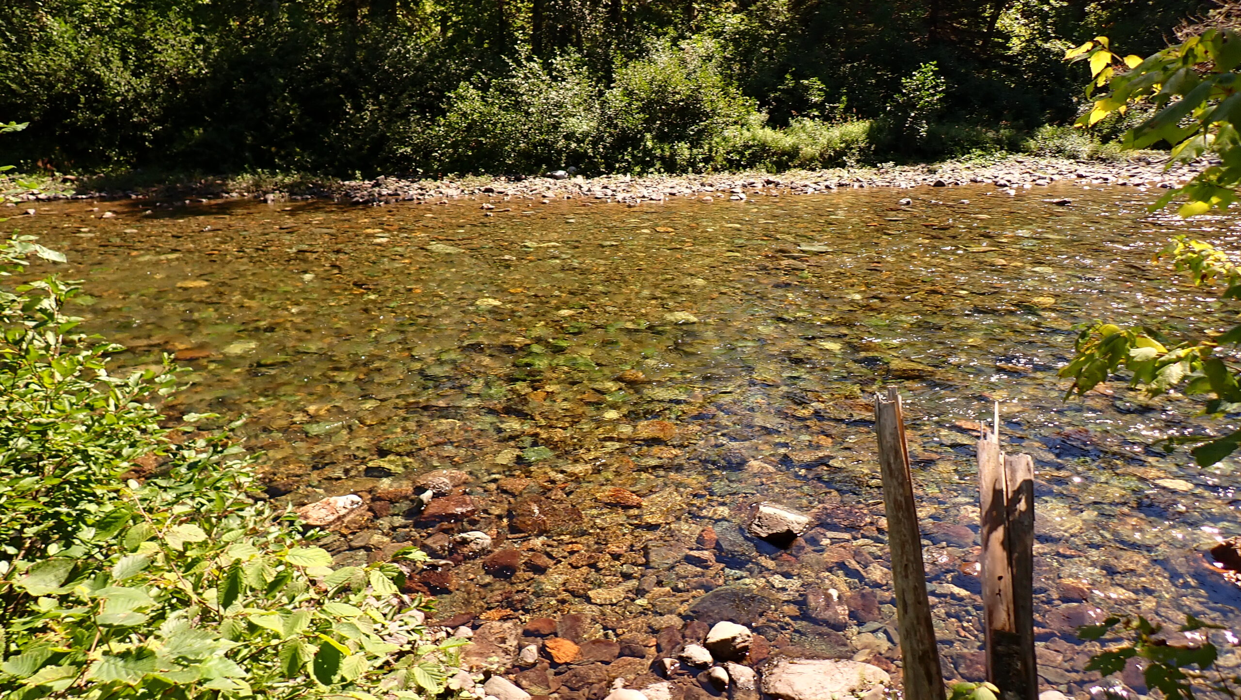 a river with a few rocks and water