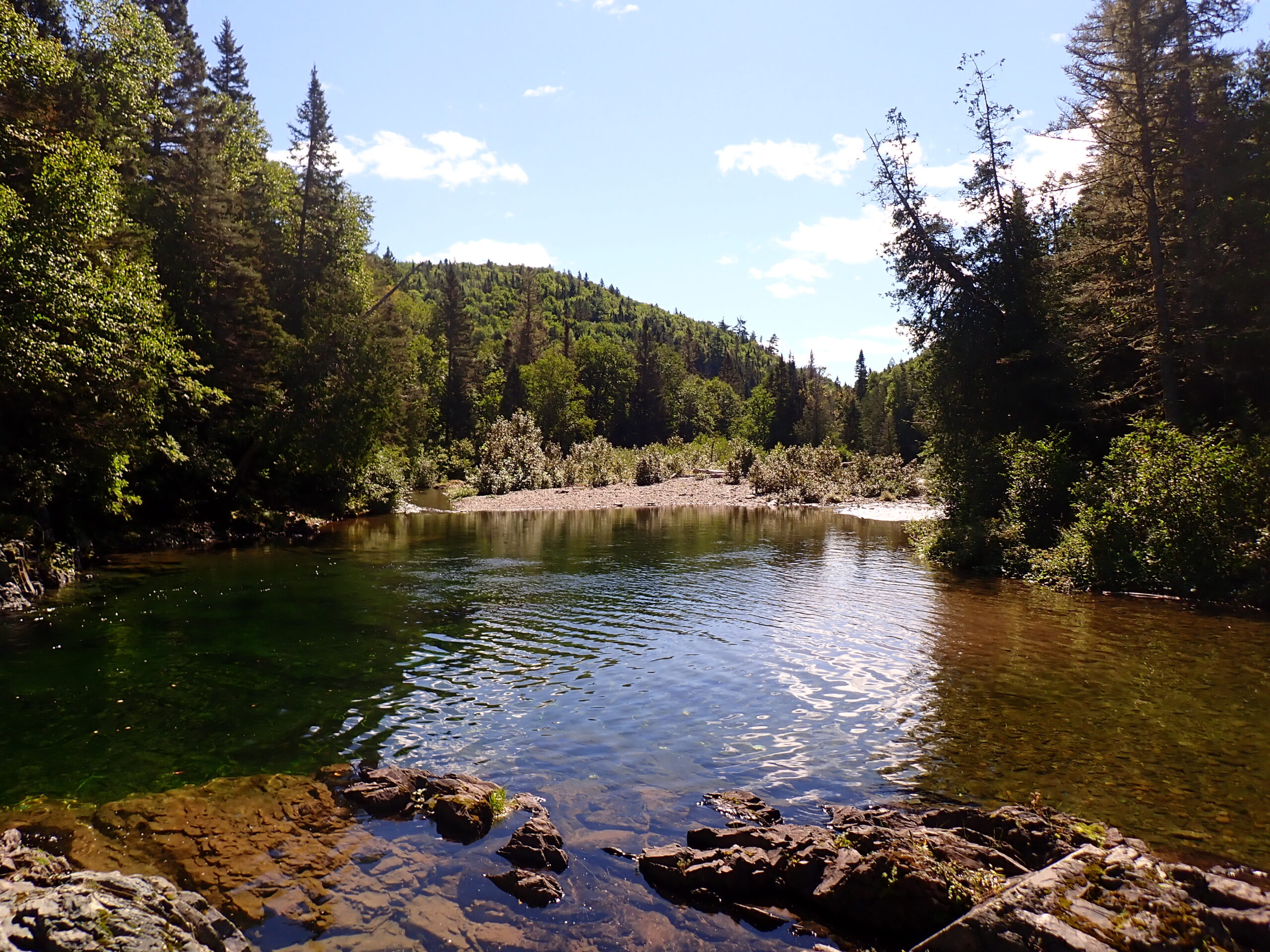 a body of water