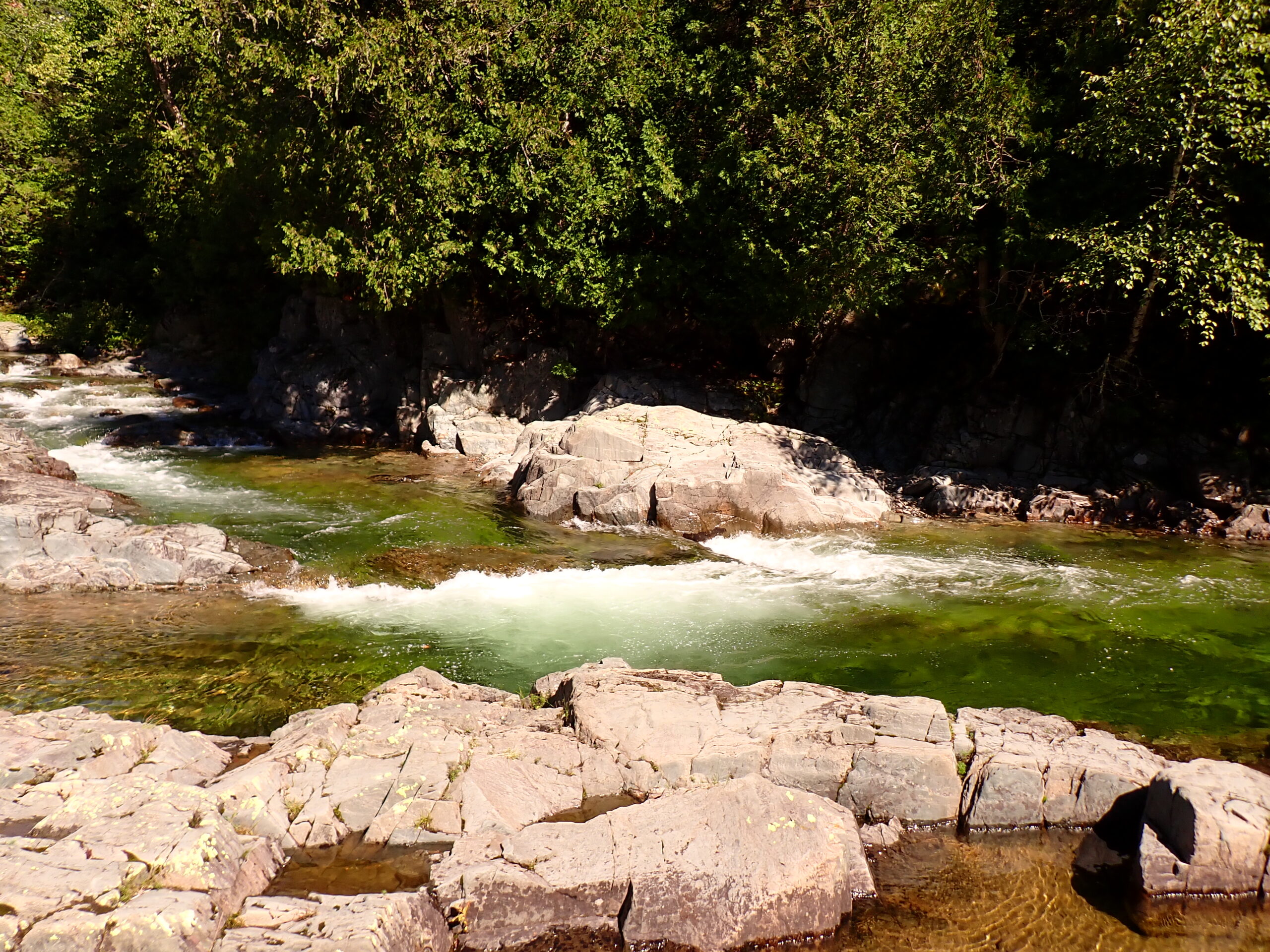 a river with rocks and water