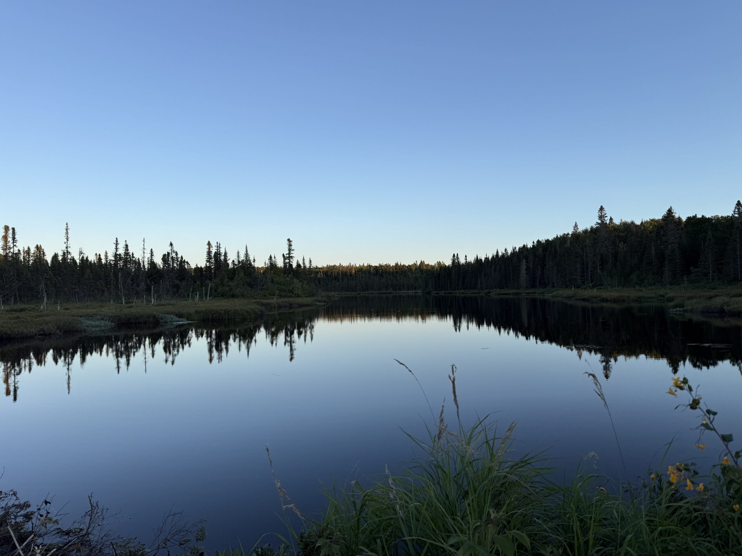 a lake with trees and grass in the fore, Port-Daniel, Québec, Canada