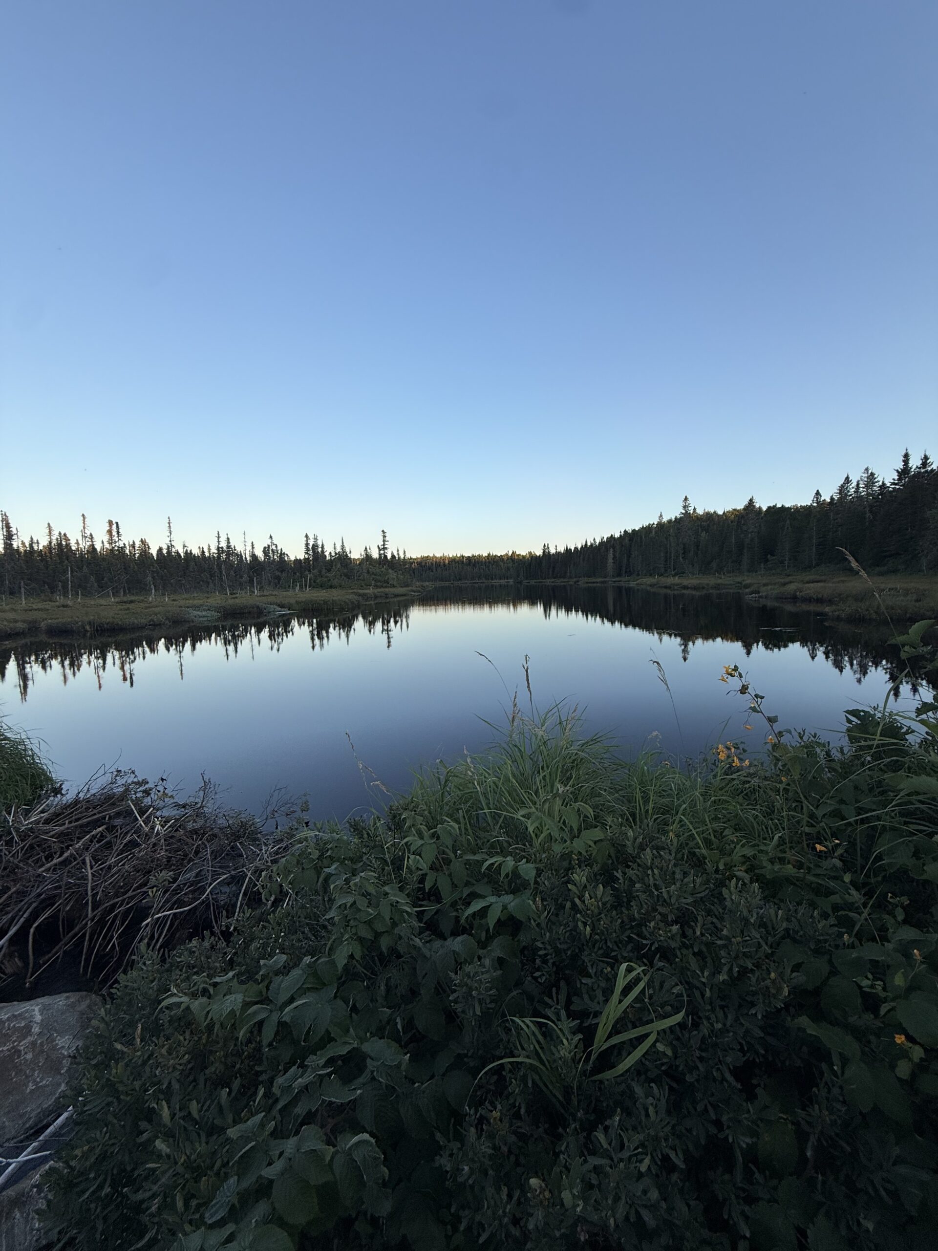 a lake with a few trees and bushes, Port-Daniel, Québec, Canada