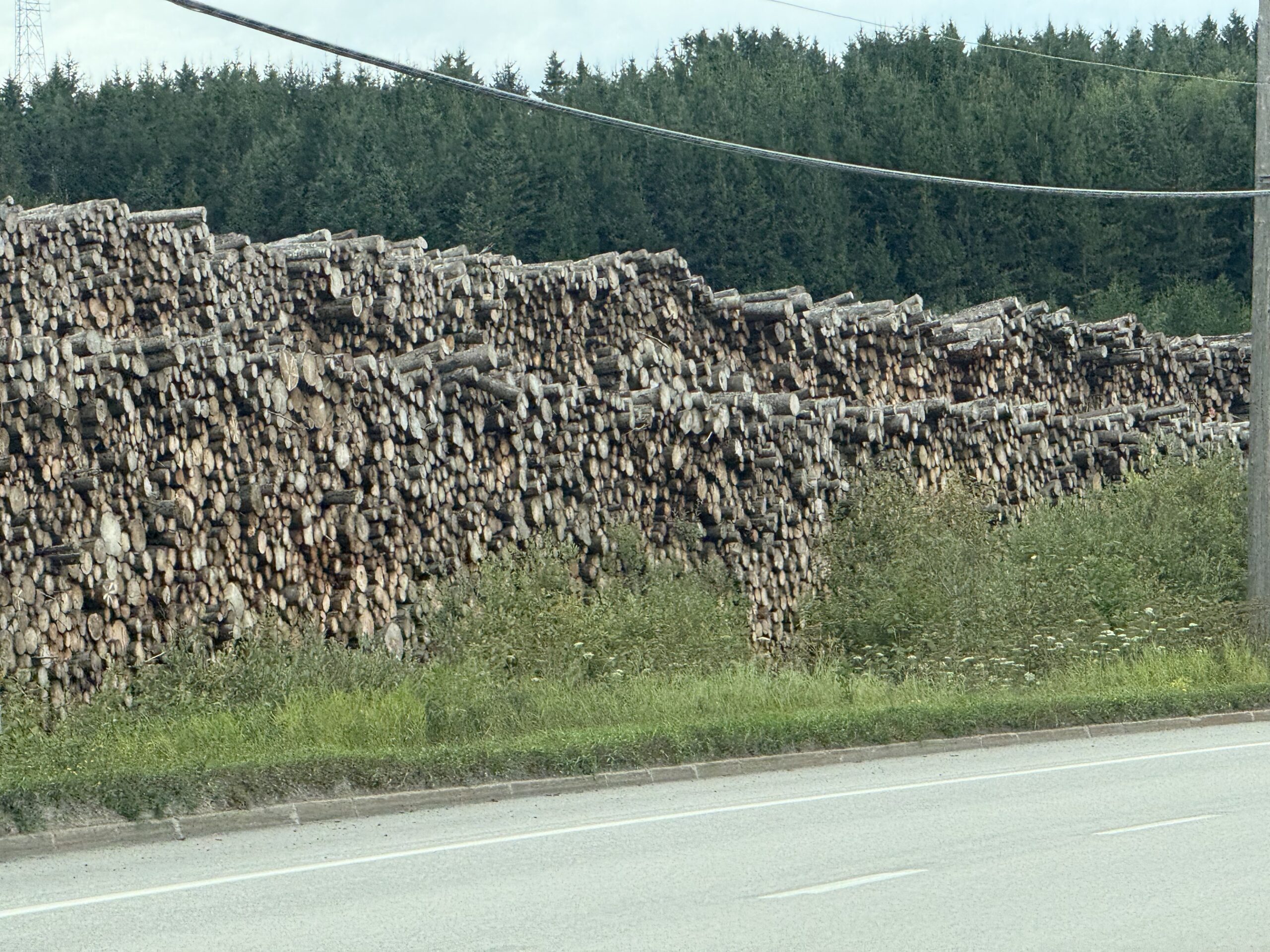 a truck driving down a road next to a large pile of logs, Causapscal, Québec, Canada