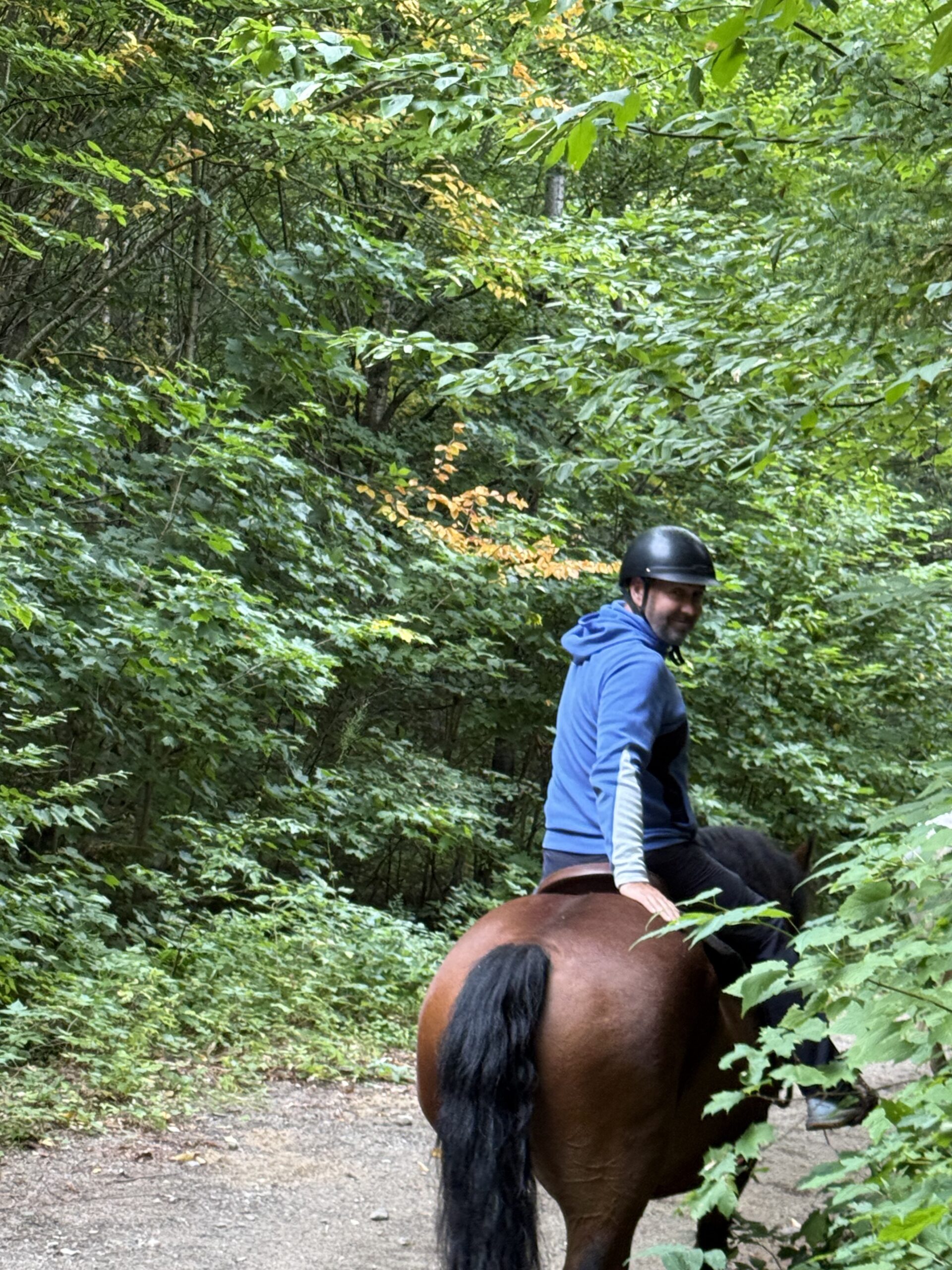 a person riding a horse through a forest, Val-des-Lacs, Québec, Canada