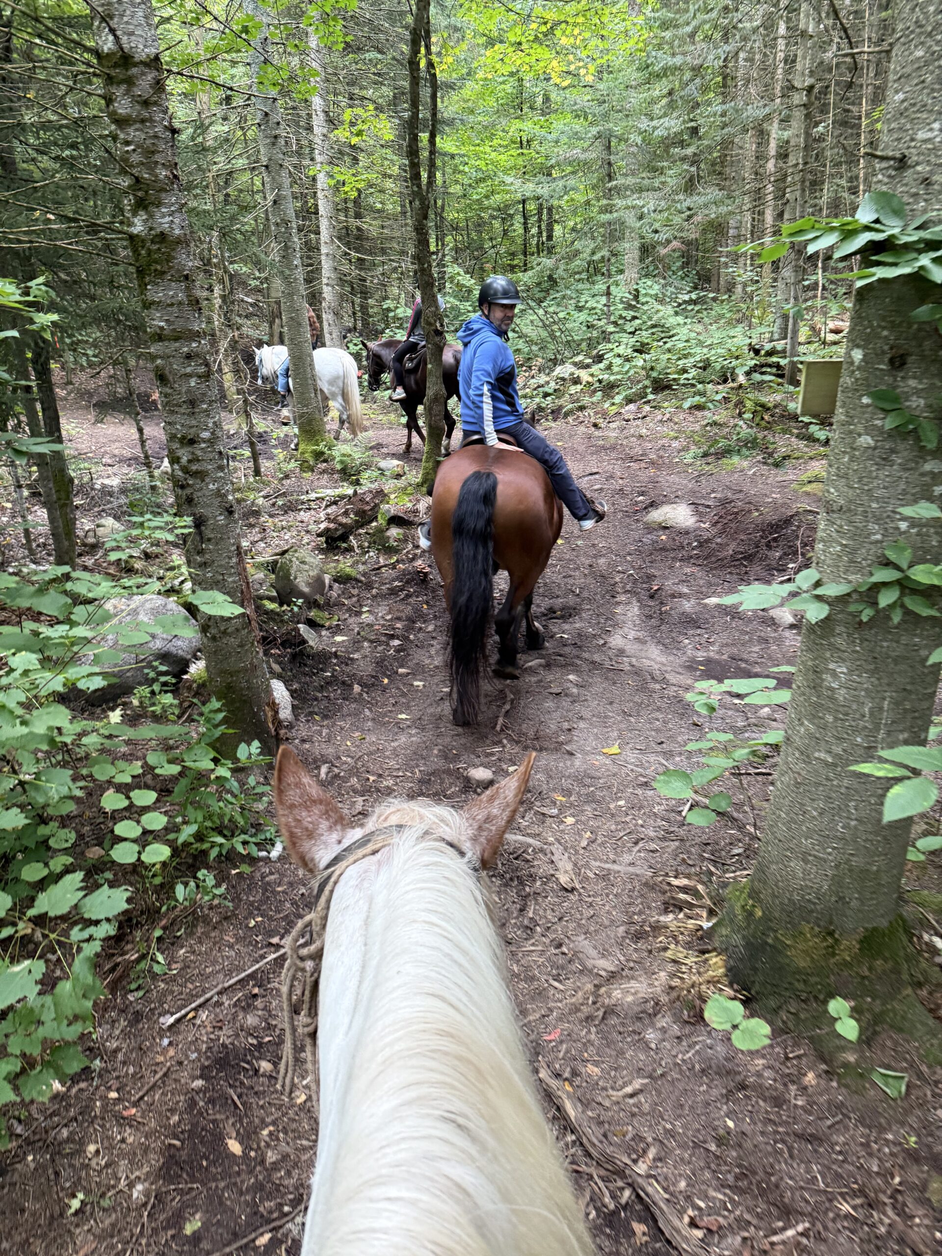 a person riding a horse in the woods, Val-des-Lacs, Québec, Canada