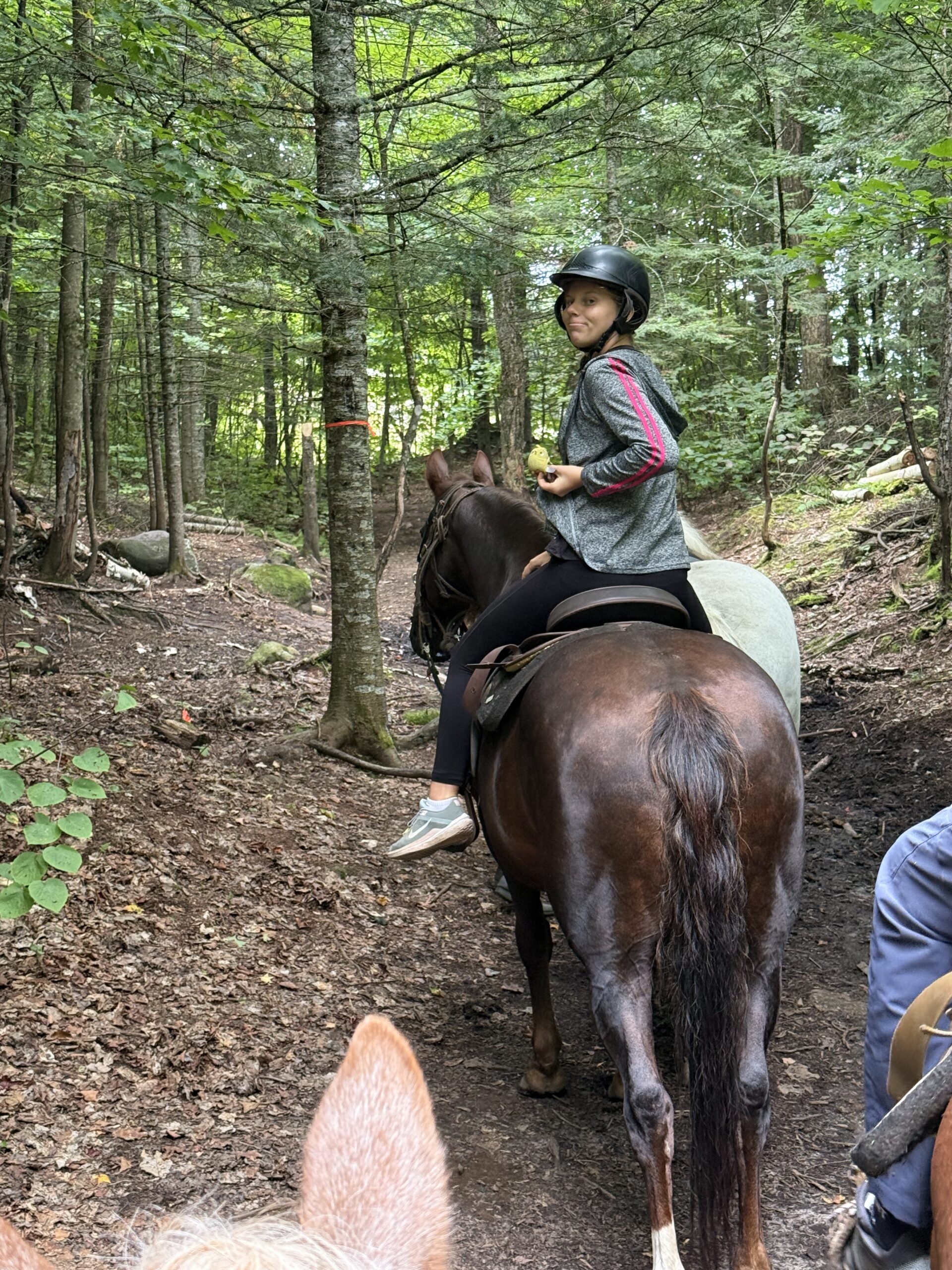a man riding a horse in the woods, Val-des-Lacs, Québec, Canada