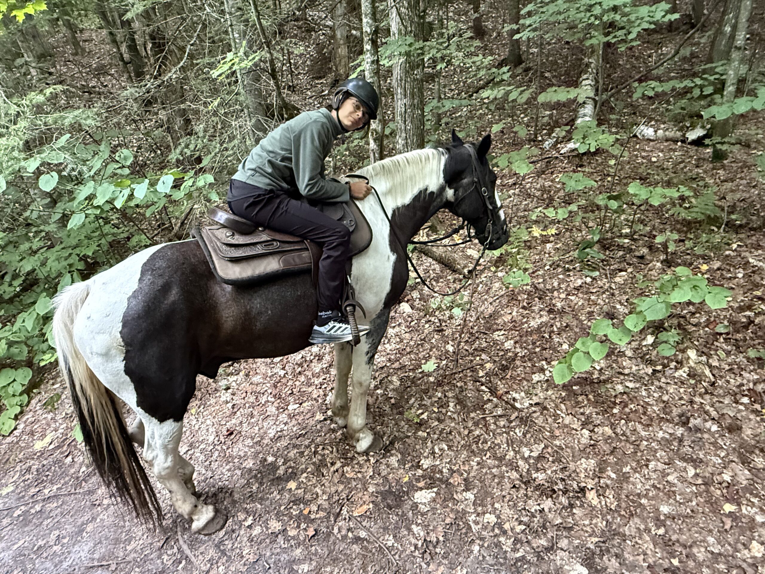 a man riding a horse in the woods, Val-des-Lacs, Québec, Canada