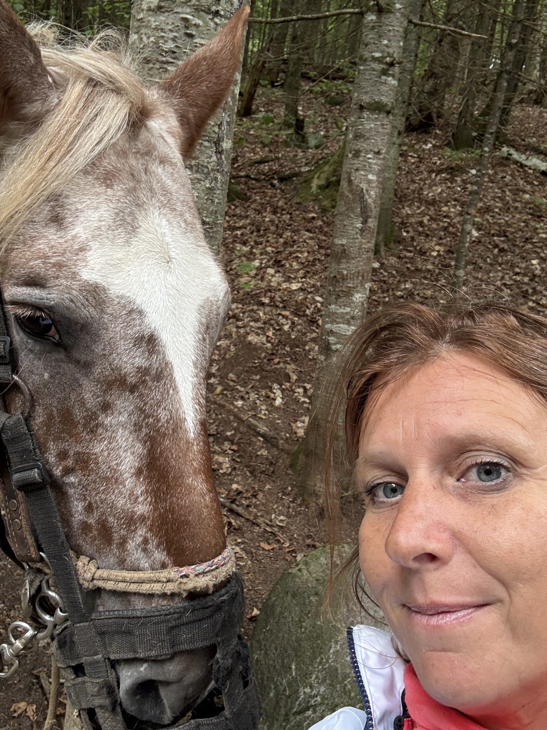 a woman is standing next to a horse, Val-des-Lacs, Québec, Canada