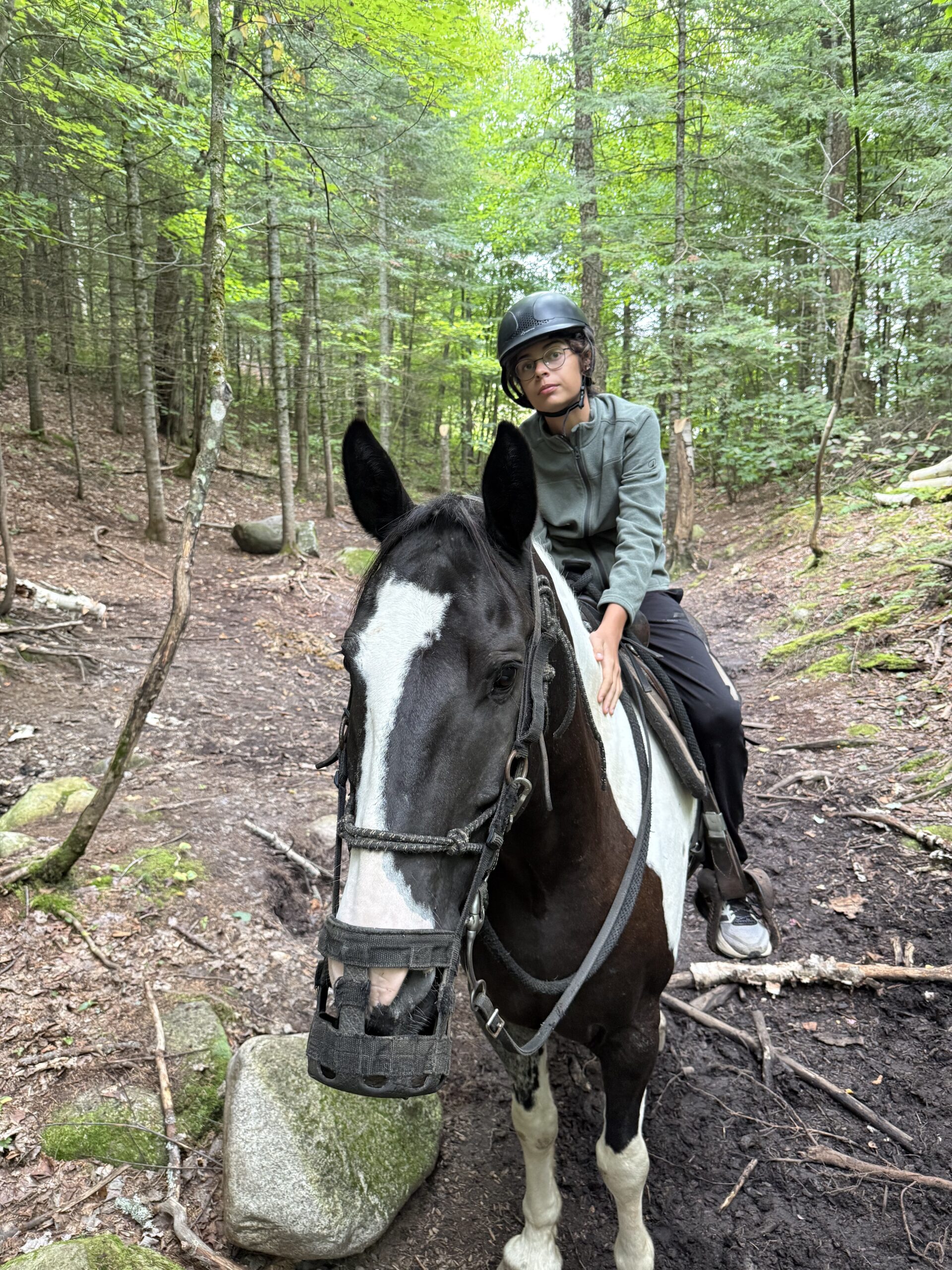 a man riding a horse through a forest, Val-des-Lacs, Québec, Canada
