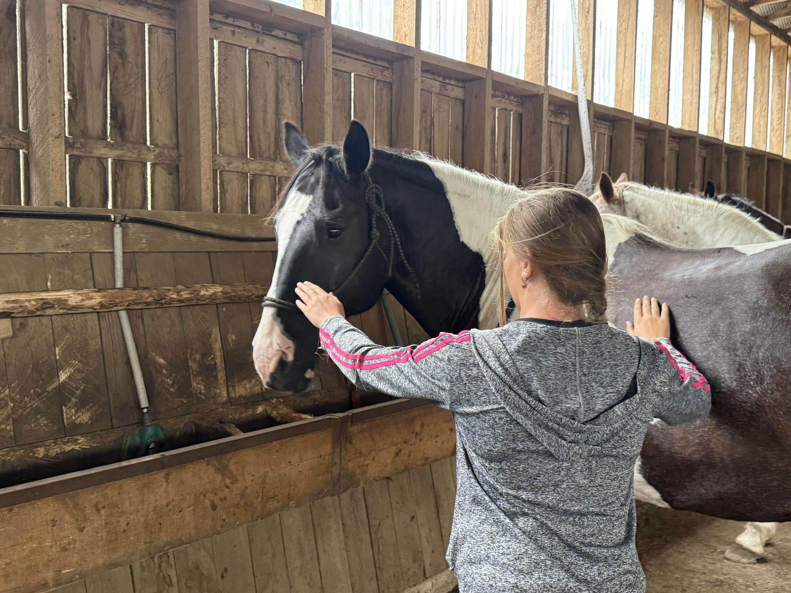 a girl petting a horse in a stable, Val-des-Lacs, Québec, Canada