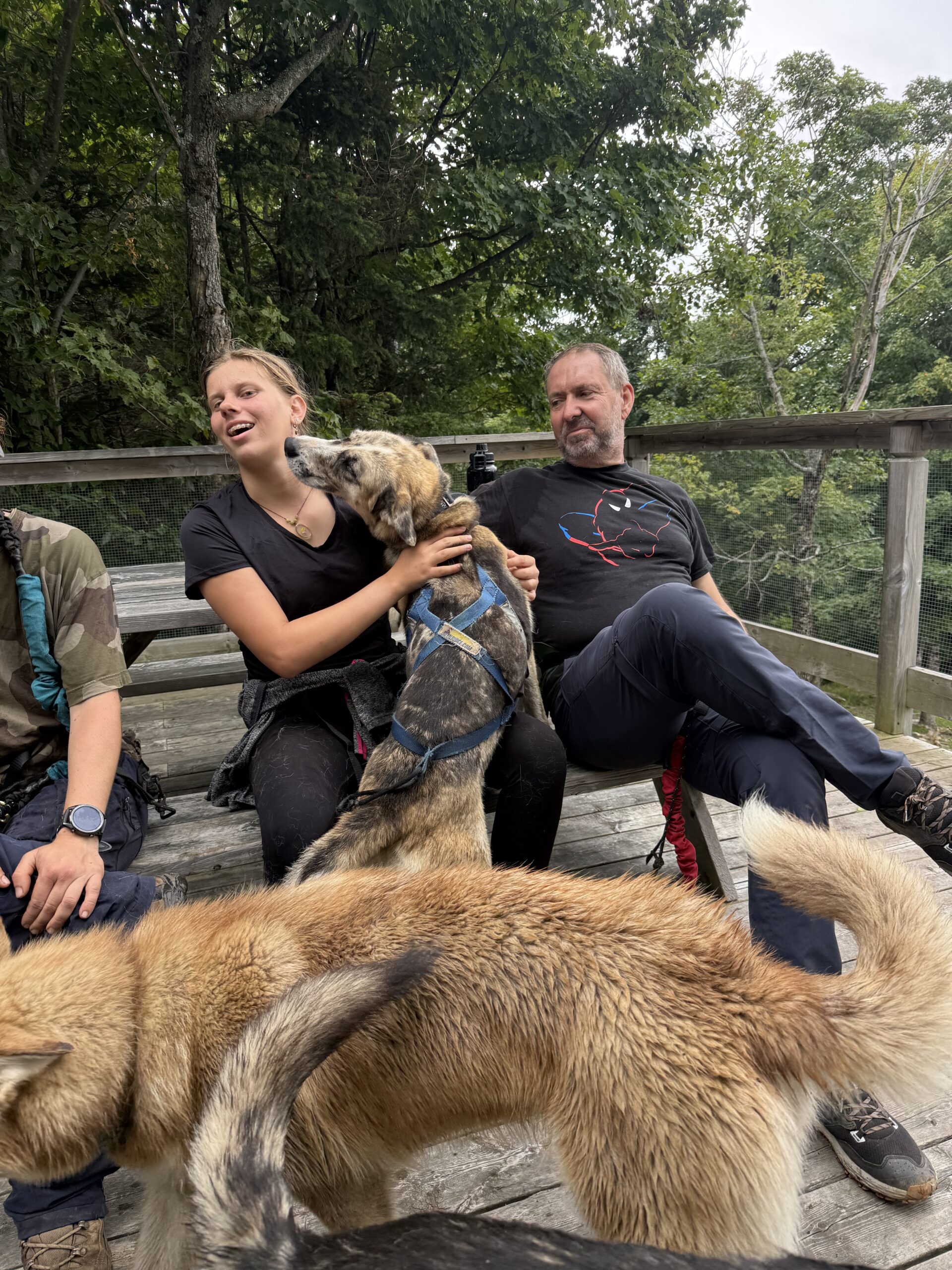 a woman sitting on a bench with two dogs