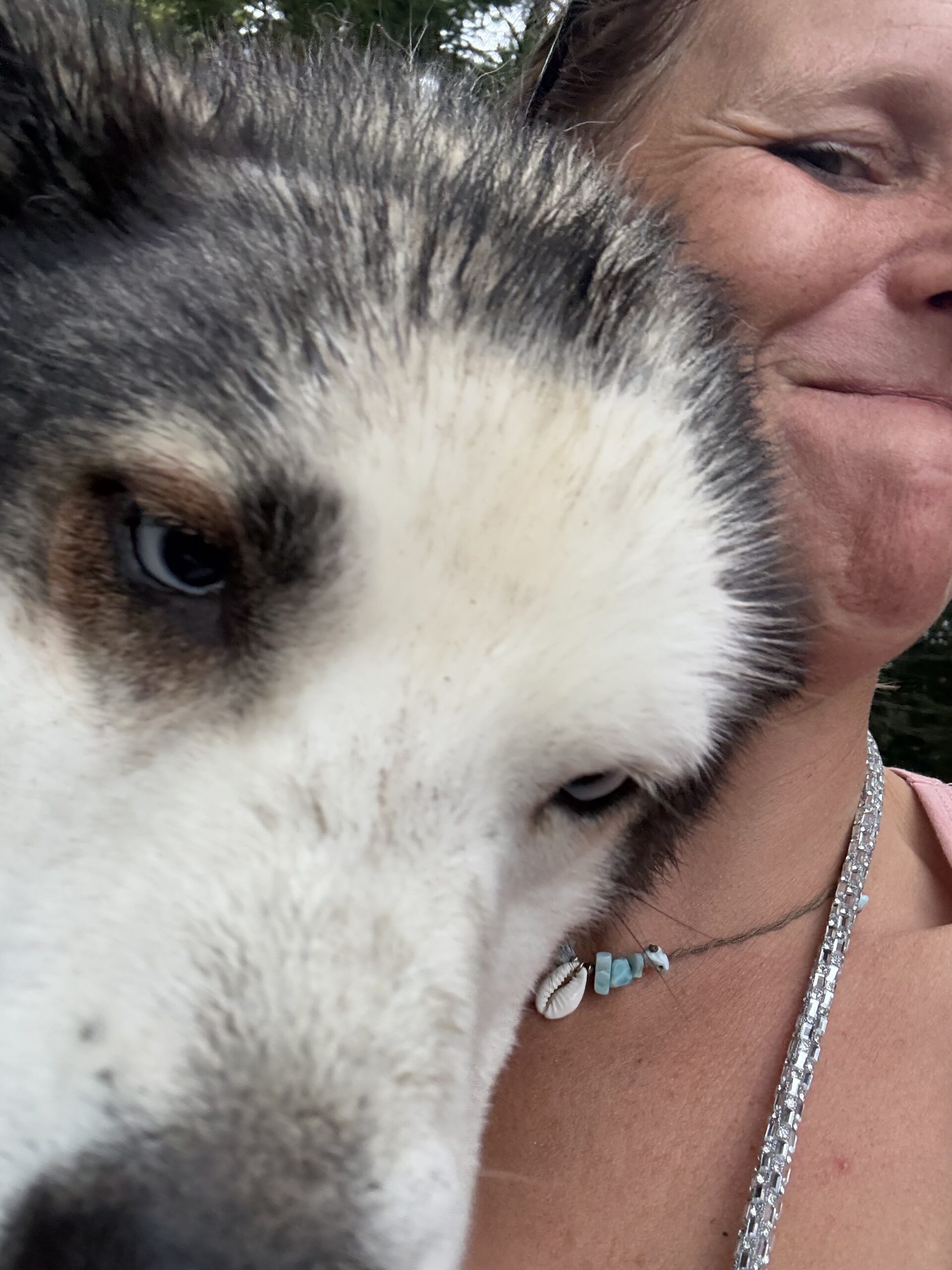 a woman is holding a dog in her arms, Val-des-Lacs, Québec, Canada