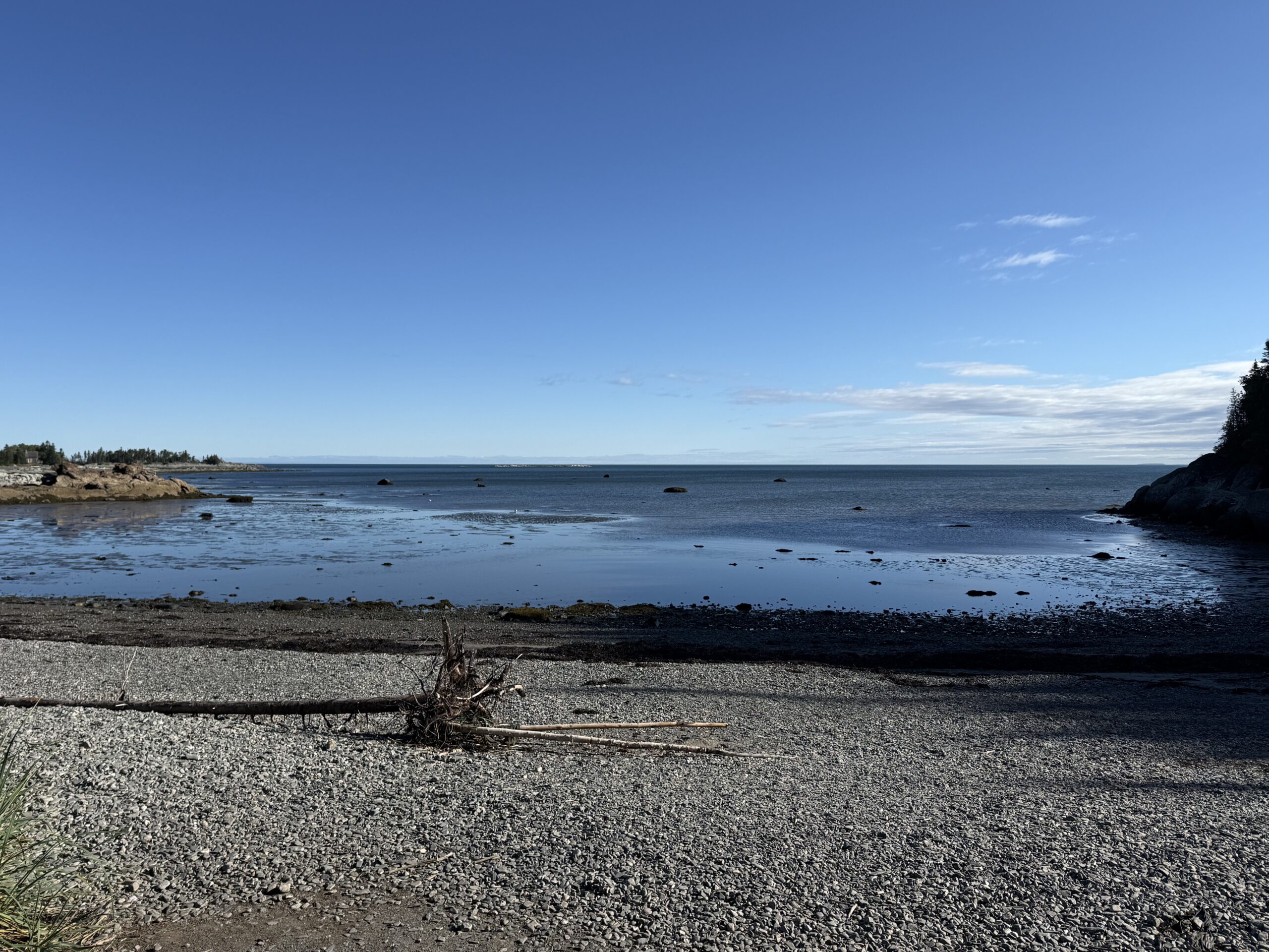 a beach with a few rocks and a few trees, Rimouski, Québec, Canada