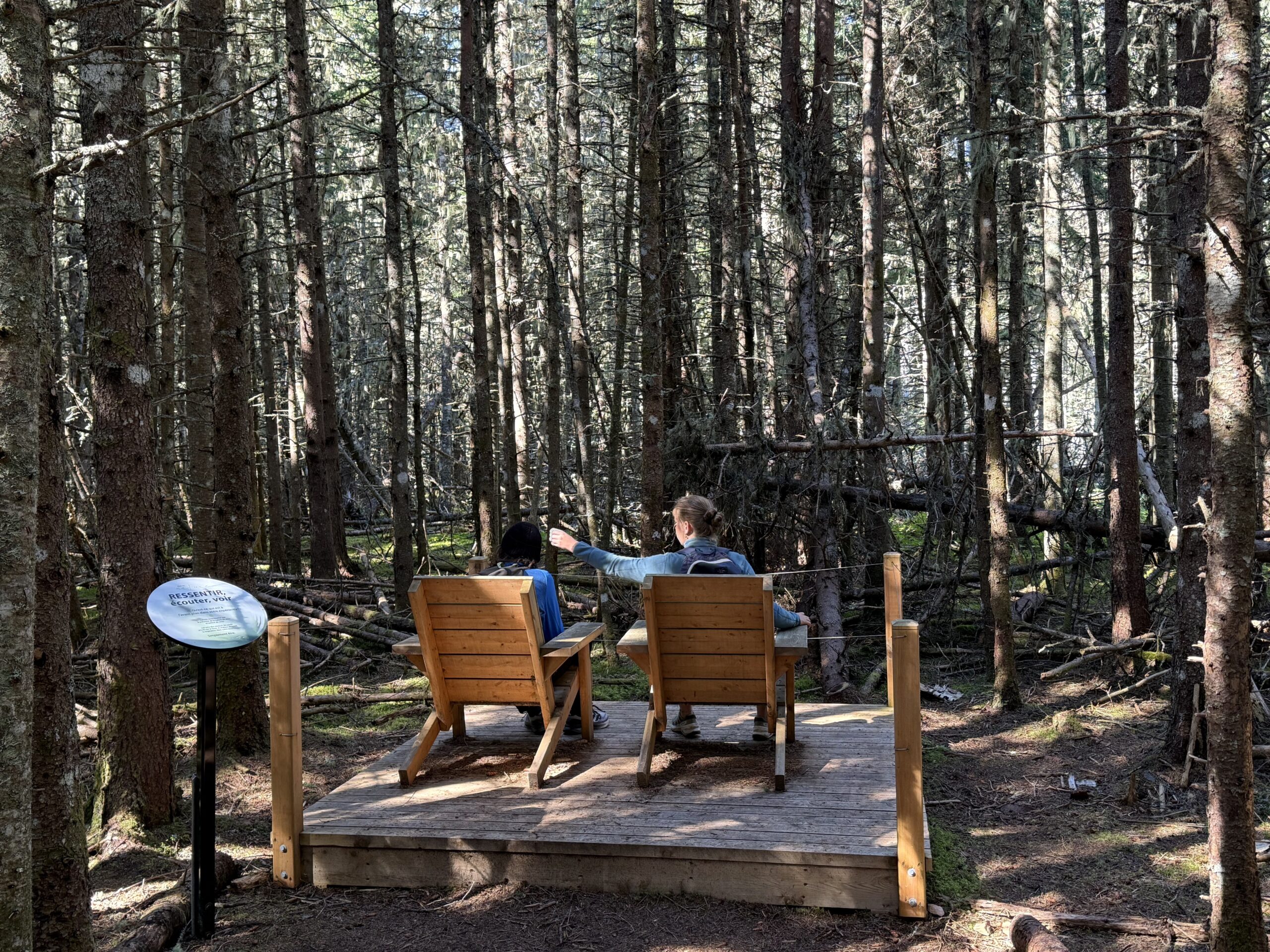 a couple of people sitting on a bench in the woods, Rimouski, Québec, Canada