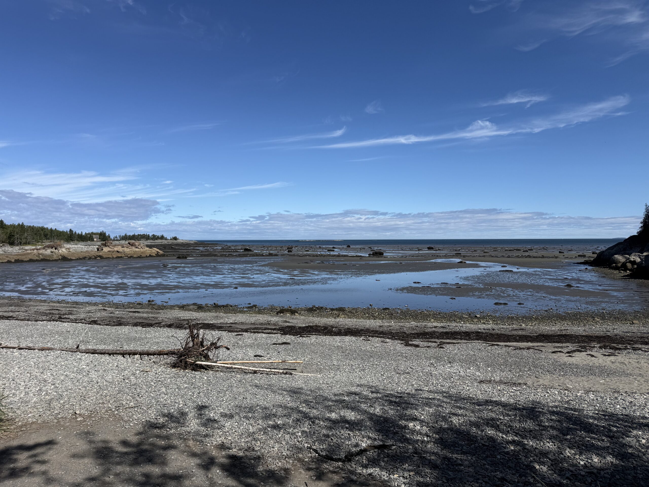 a beach with a few rocks and a few trees, Rimouski, Québec, Canada