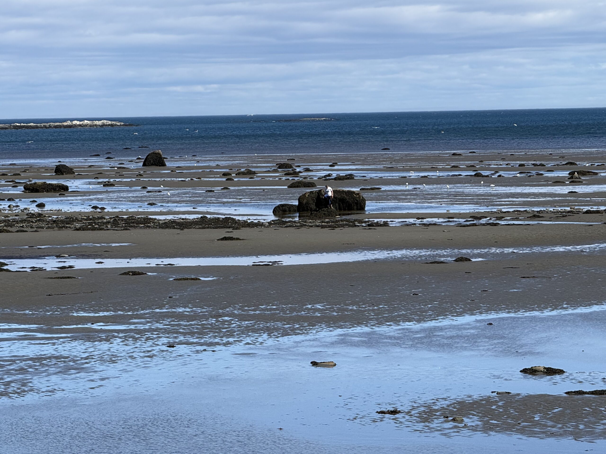 a beach with a few rocks and a few water, Rimouski, Québec, Canada