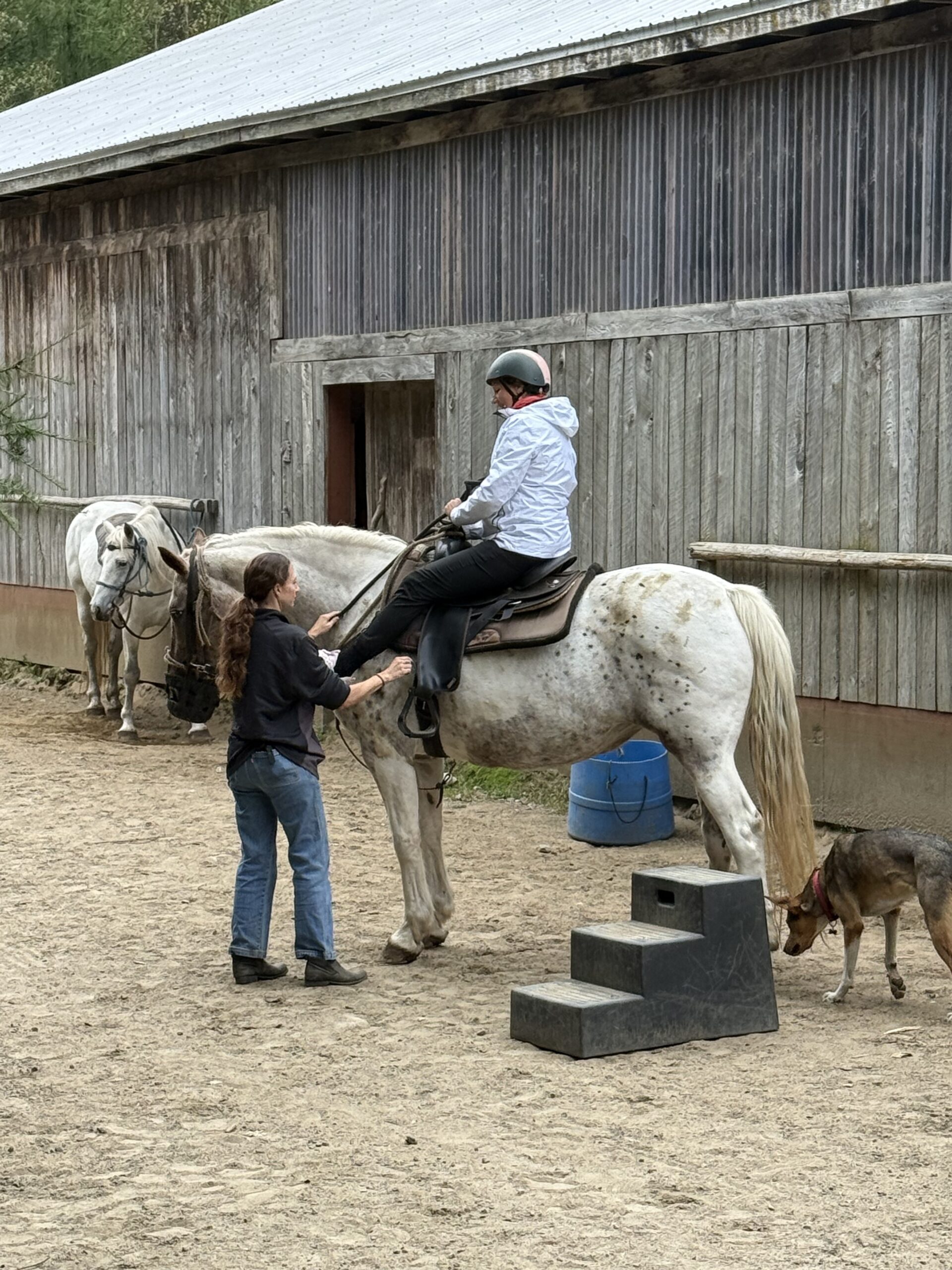 a woman is sitting on a horse and a dog is standing nearby, Val-des-Lacs, Québec, Canada